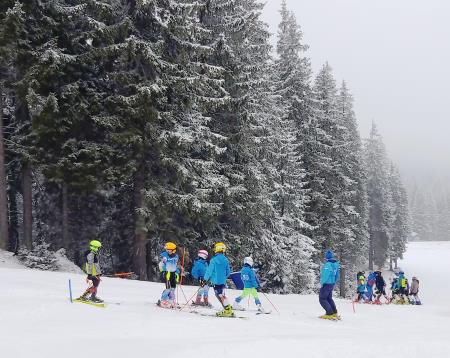 Smučaji tekmovali v slalomu na Rogli (6)